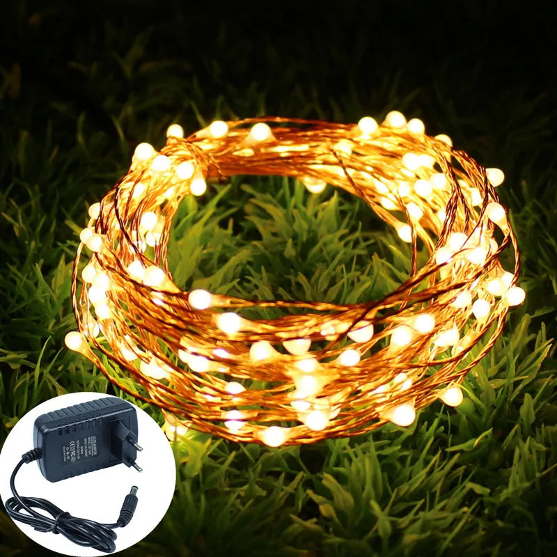 Holiday LED Copper Wire String Lights — 12V
