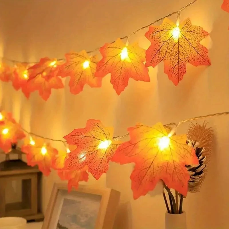 Battery-Powered LED Fairy Lights