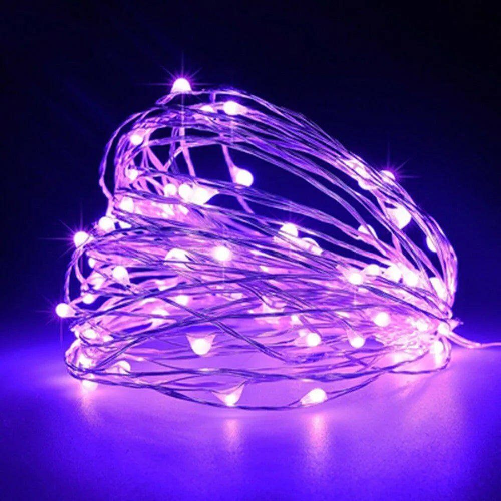 Micro LED Fairy Lights String