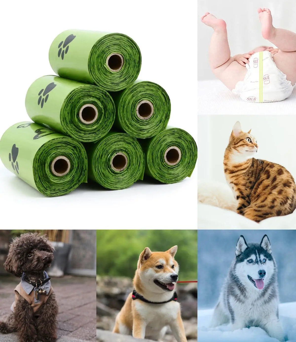 Scented Biodegradable Dog Poop Bags — Bulk Rolls