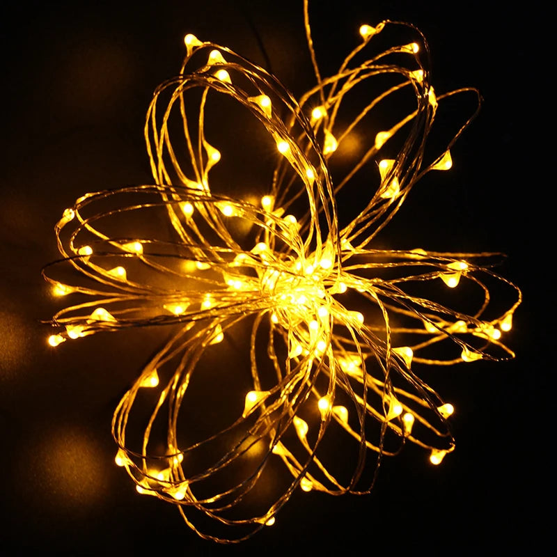 Holiday LED Copper Wire String Lights — 12V
