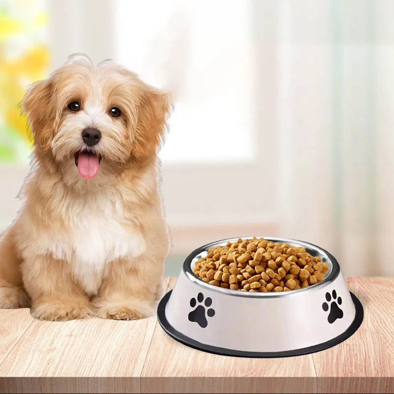Stainless Steel Pet Food Bowl — Large Capacity