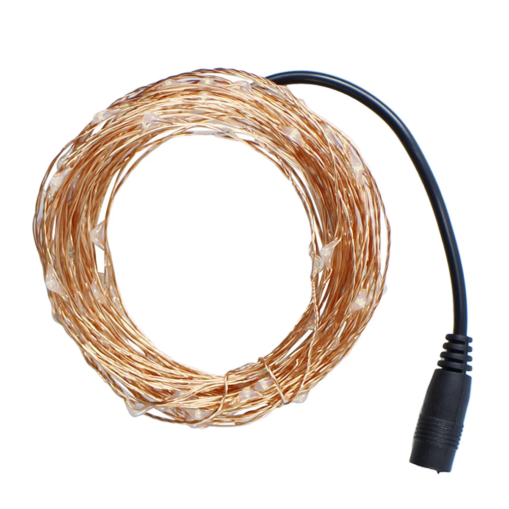 Holiday LED Copper Wire String Lights — 12V
