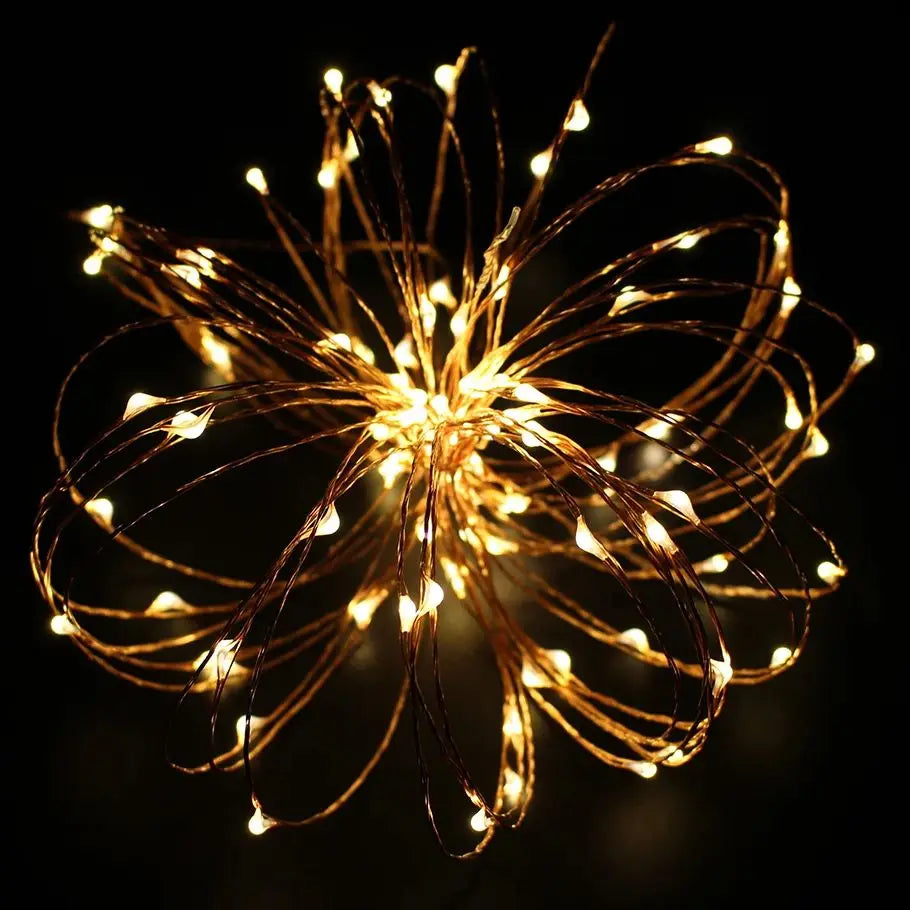 Holiday LED Copper Wire String Lights — 12V