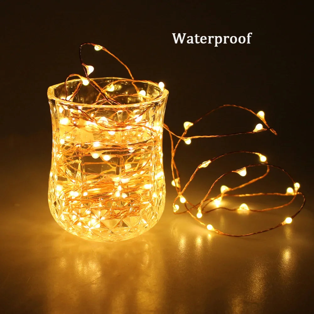 Holiday LED Copper Wire String Lights — 12V
