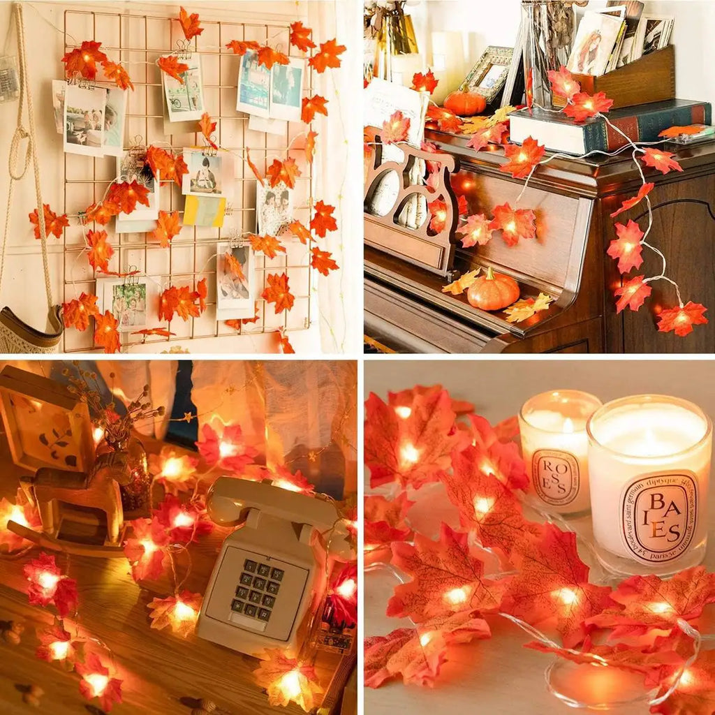 Battery-Powered LED Fairy Lights