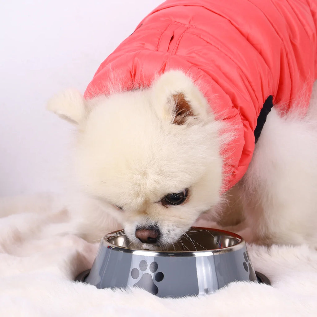 Stainless Steel Pet Food Bowl — Large Capacity