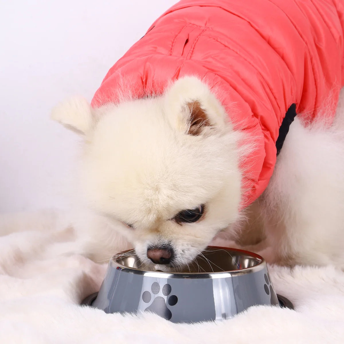 Stainless Steel Pet Food Bowl — Large Capacity