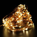 Holiday LED Copper Wire String Lights — 12V