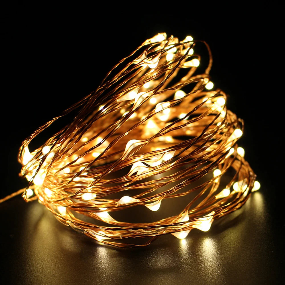 Holiday LED Copper Wire String Lights — 12V