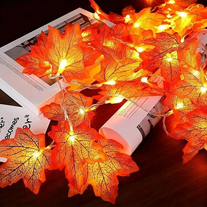 Battery-Powered LED Fairy Lights