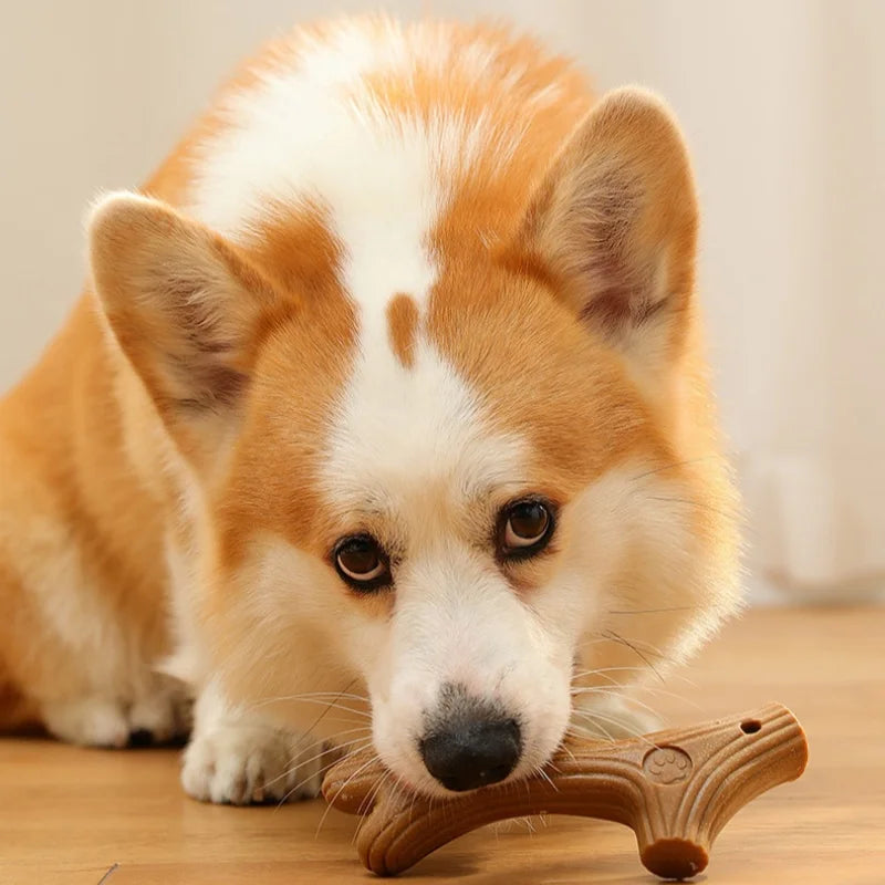 Dog Teeth Grinding Chew Toy — Antler Shape