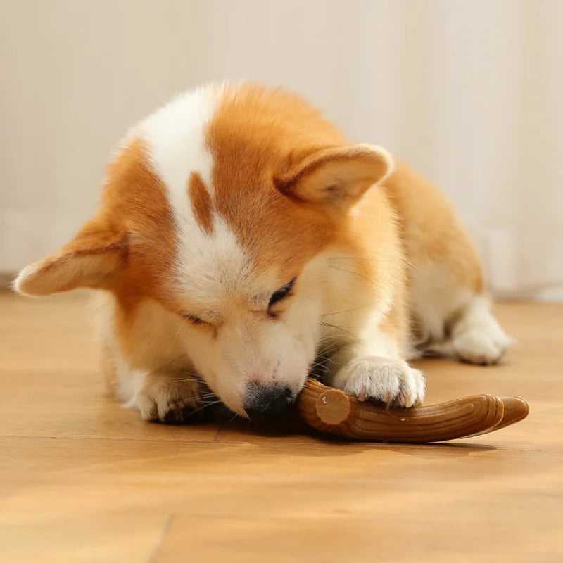Dog Teeth Grinding Chew Toy — Antler Shape